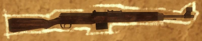 Gewehr 43 — Black Ops weapon