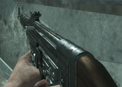 STG-44 — Black Ops weapon