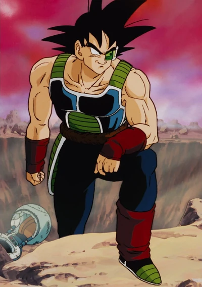 Bardock reference picture