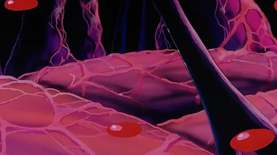 Inside Buu reference picture