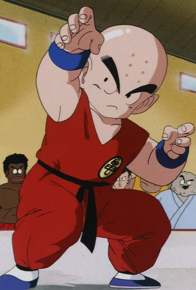 Krillin reference picture