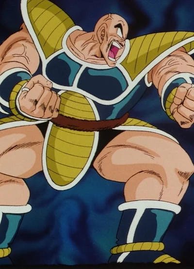 Nappa reference picture