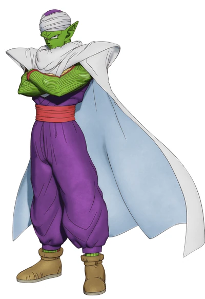 Piccolo reference picture