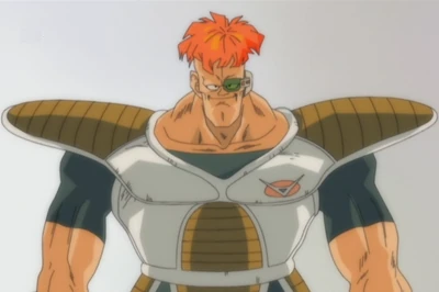 Recoome reference picture