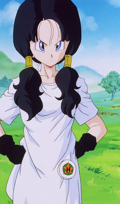 Videl reference picture