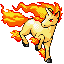 Rapidash Generation III sprite