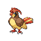 Pidgeotto Generation IV sprite