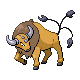 Tauros Generation IV sprite