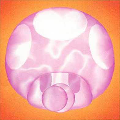 Super Mini Mushroom — Mario Party 4 artwork