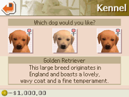 Nintendogs DS: Golden Retriever