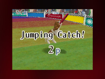 Nintendogs DS: Competition arena