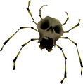 Skullwalltula