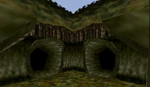 Lost Woods