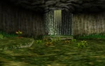 Forest Stage