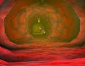 Inside Jabu-Jabu's Belly