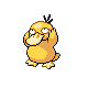 Psyduck Platinum sprite
